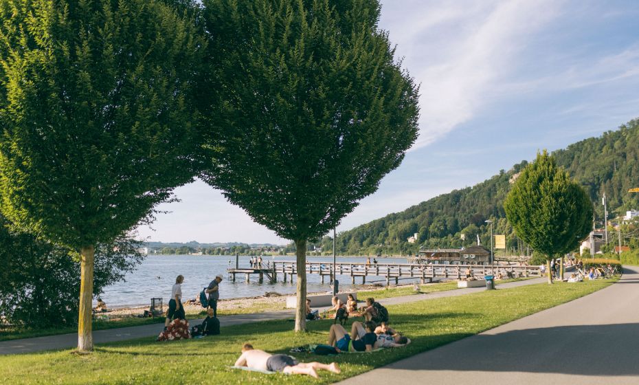 Bregenz Bodensee Pipeline