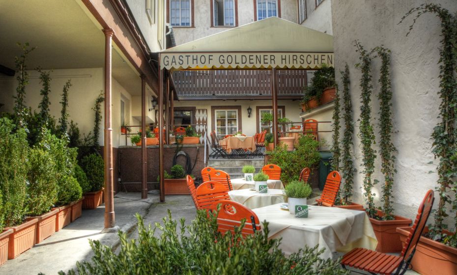 Goldener Hirschen Goldener Hirschen