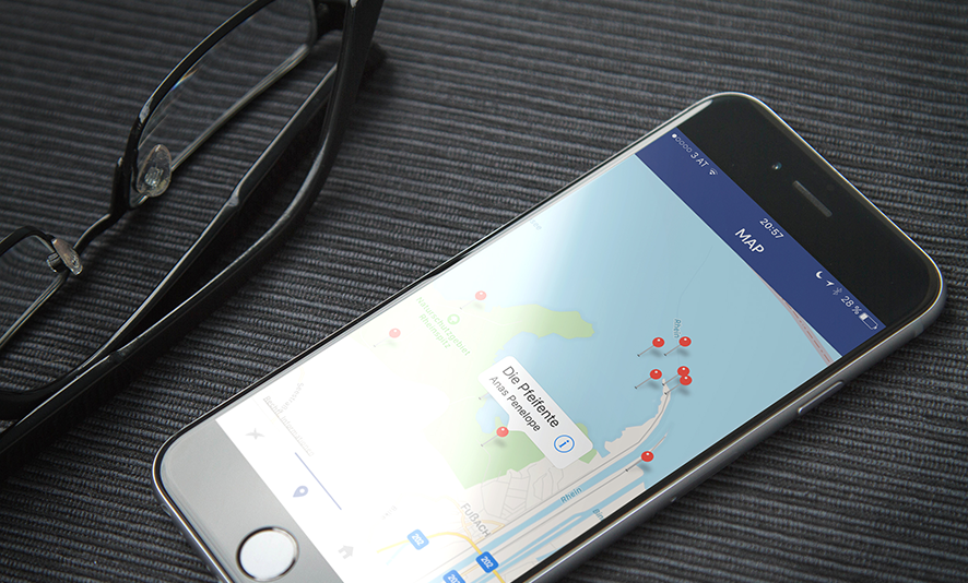 Birdwatching Birdwatching