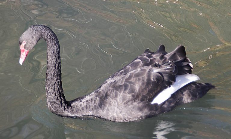 Doppelmayr-Zoo-c-Doppelmayr-Zoo_8-768x489 Doppelmayr-Zoo-c-Doppelmayr-Zoo_8-768x489