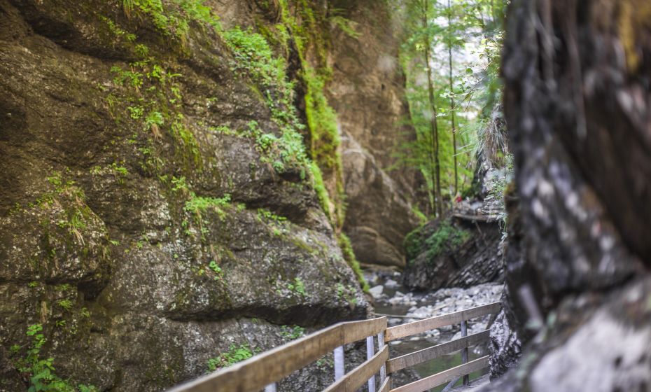 Alplochschlucht Alplochschlucht