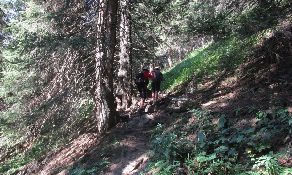 Ein schattenspendender Wald erleichtert uns an heiÃen Tagen den Aufstieg