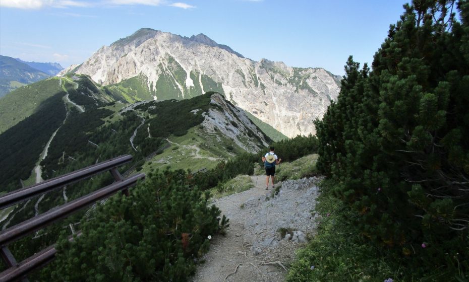 Kurz vor dem Sareiserjoch beginnt die Krummholzzone