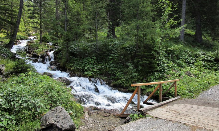 Erich Zucalli - www.guideservice.at Trotz trockenem Sommer 2018 sprudelt hier das Wasser unbekümmert ins Tal