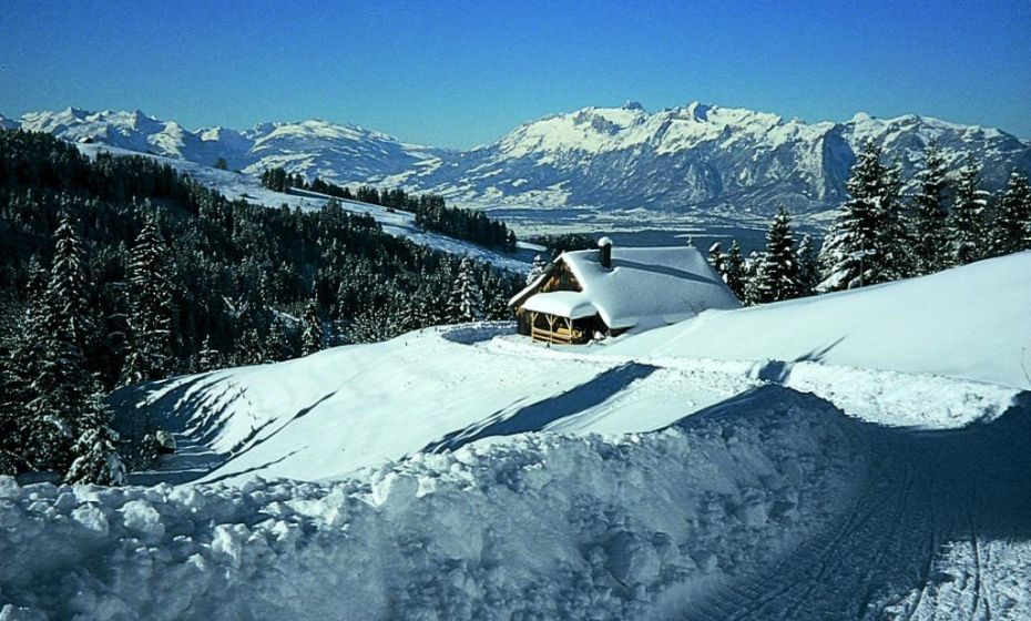 Helmut Tiefenthaler Rheintalpanorama bei der Madlensalpe