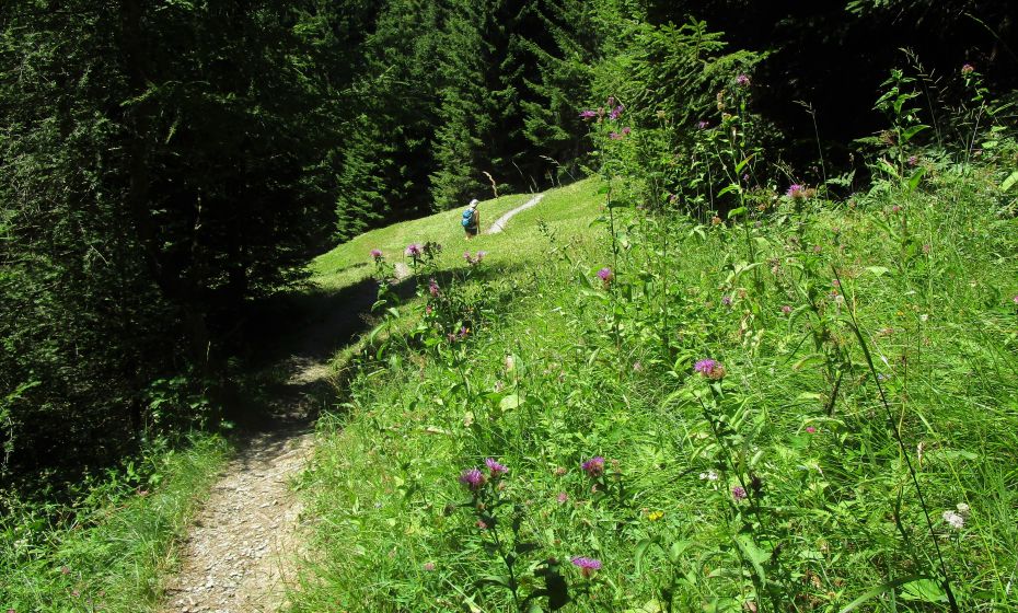 Den Blumenreichtum erlebt man im FrÃ¼hsommer und nicht im August