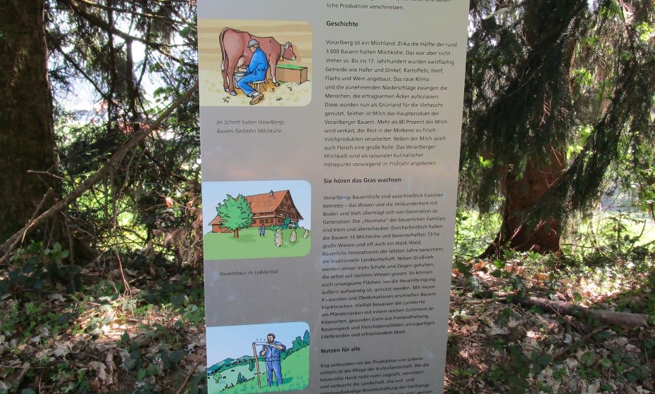 Immer wieder informieren Infotafeln Ã¼ber den bekannten Vorarlberger KÃ¤se