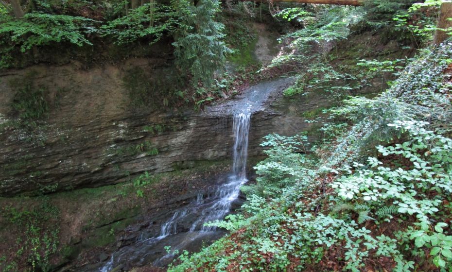 In den unterschiedlich harten Molasseschichten entstehen oft kleine WasserfÃ¤lle