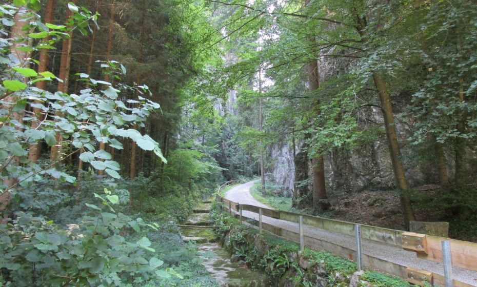 Durch die kÃ¼hle Schlucht des Mitzgebachs