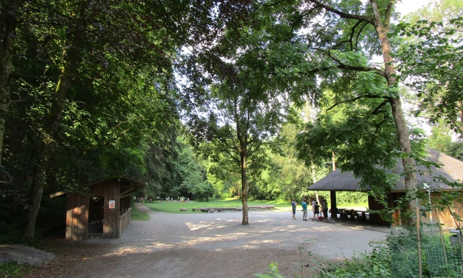 .... zum Schafplatz.