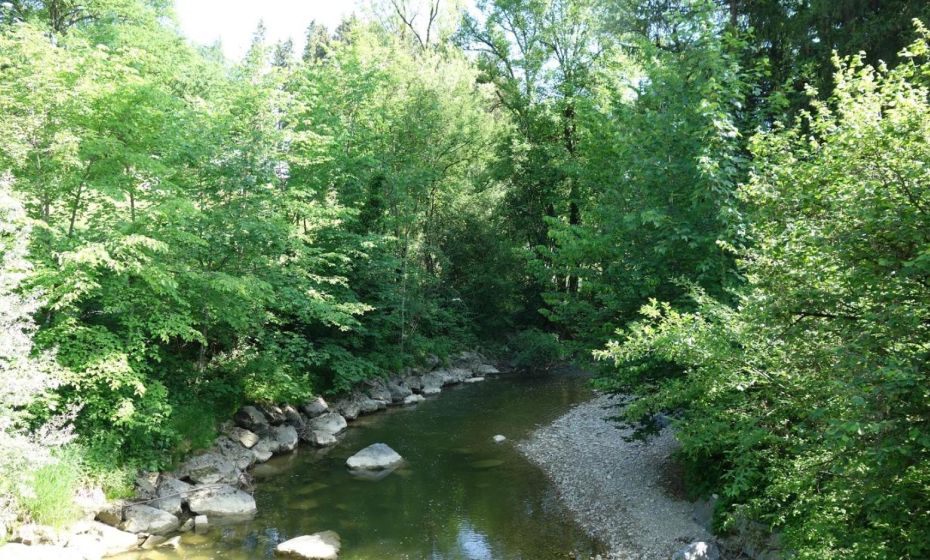 Erwins Ferien-Paradies