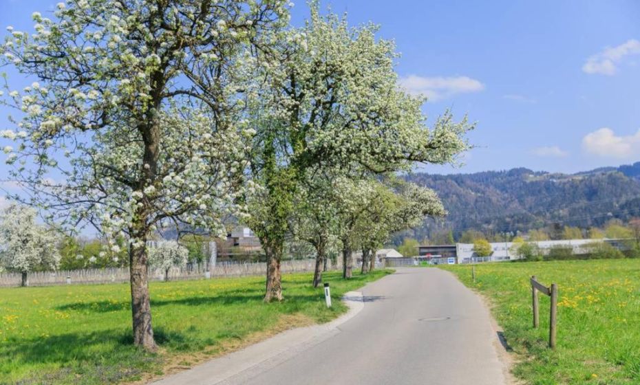 Penthouse 37th HEAVEN (ca. 90mÂ²)