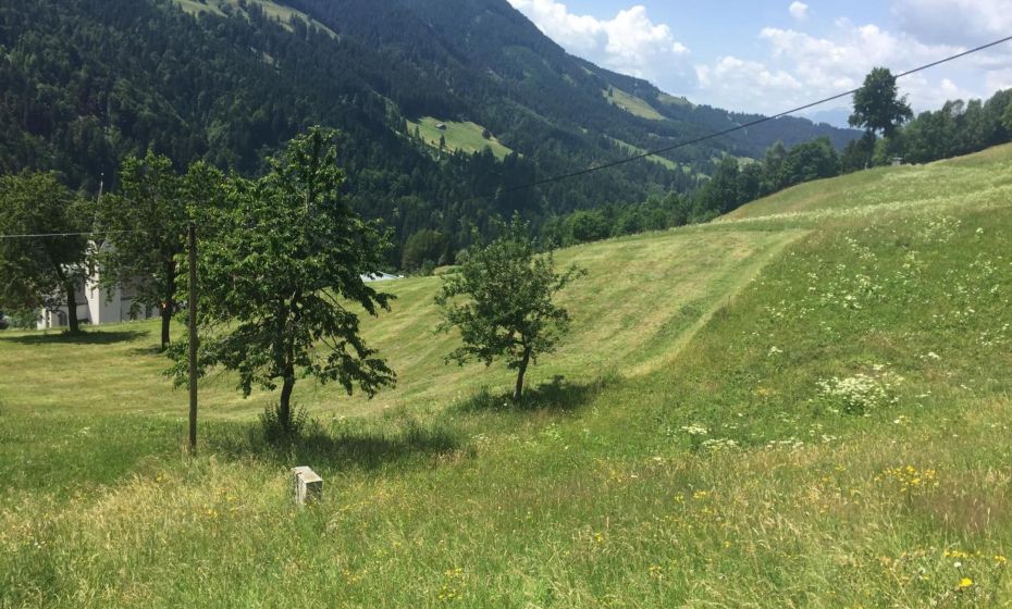 Sunnaschi Appartements - Wohnungen oder gesamt als "Hütte" Sunnaschi Appartements - Wohnungen oder gesamt als "Hütte"