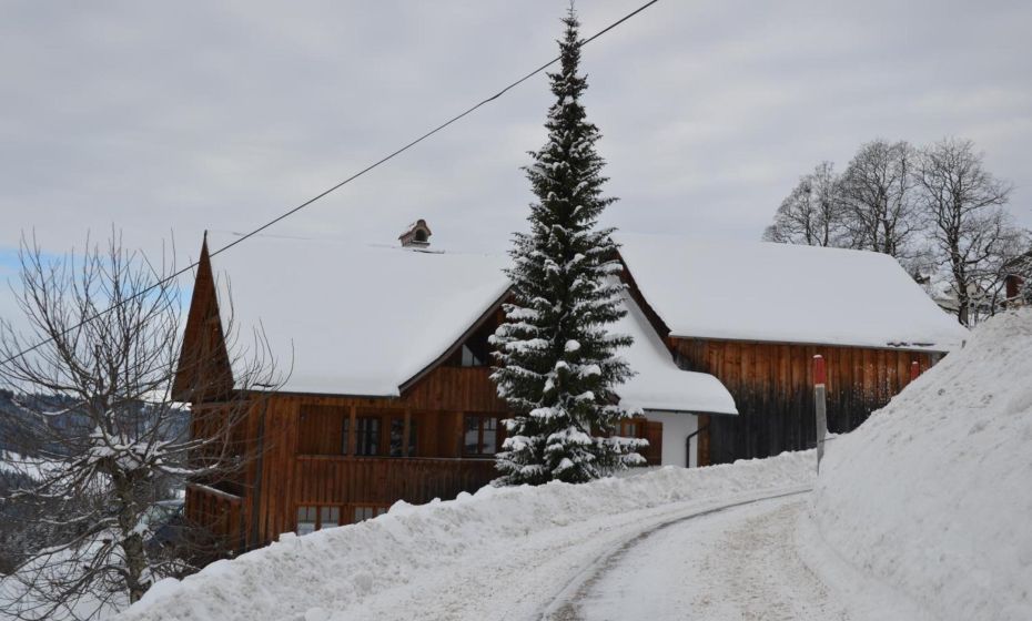 Sunnaschi Appartements - Wohnungen oder gesamt als "HÃ¼tte"