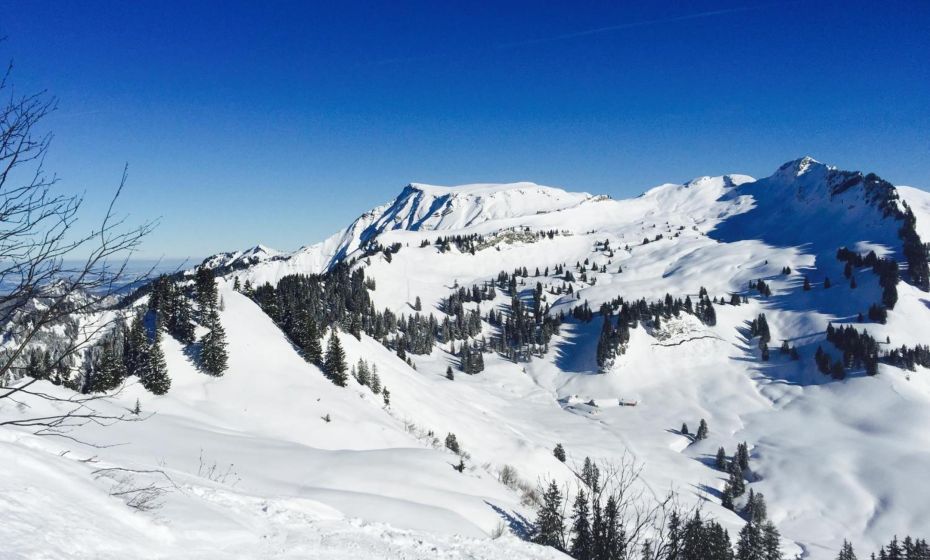 Sunnaschi Appartements - Wohnungen oder gesamt als "HÃ¼tte"