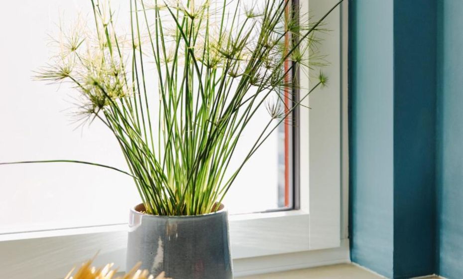 Rotes Haus Bregenz See Wohnung Rotes Haus Bregenz See Wohnung