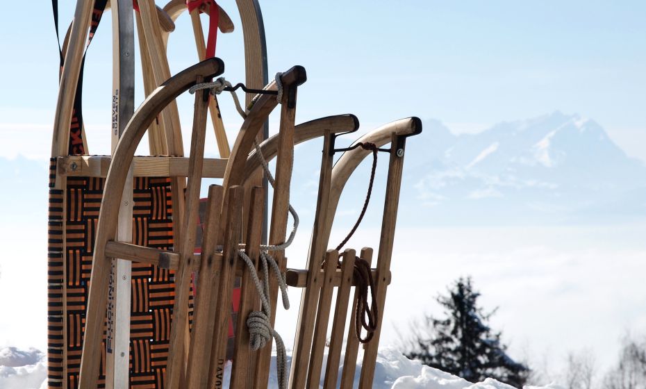 Rodeln am Pfänder Rodeln am Pfänder