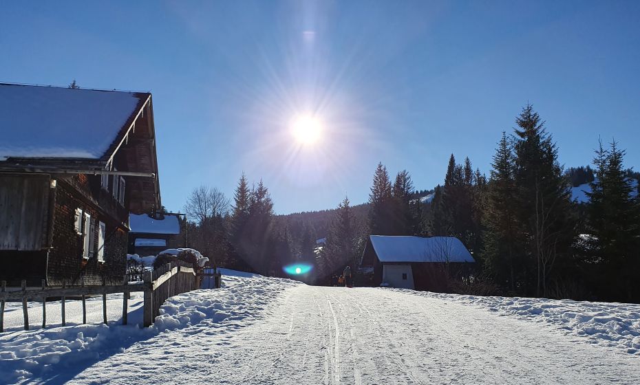 Bödele Rodeln Bödele Rodeln