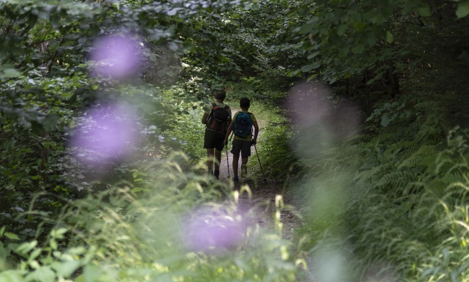 Weg Richtung Ãble Schlucht
