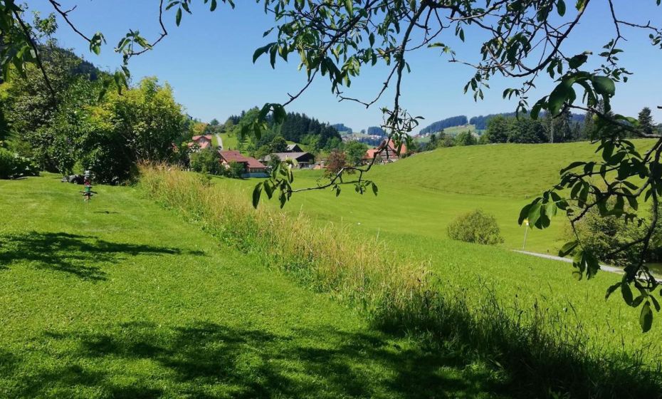 Ferienhaus Hämmerle´s Ferienhaus Hämmerle´s