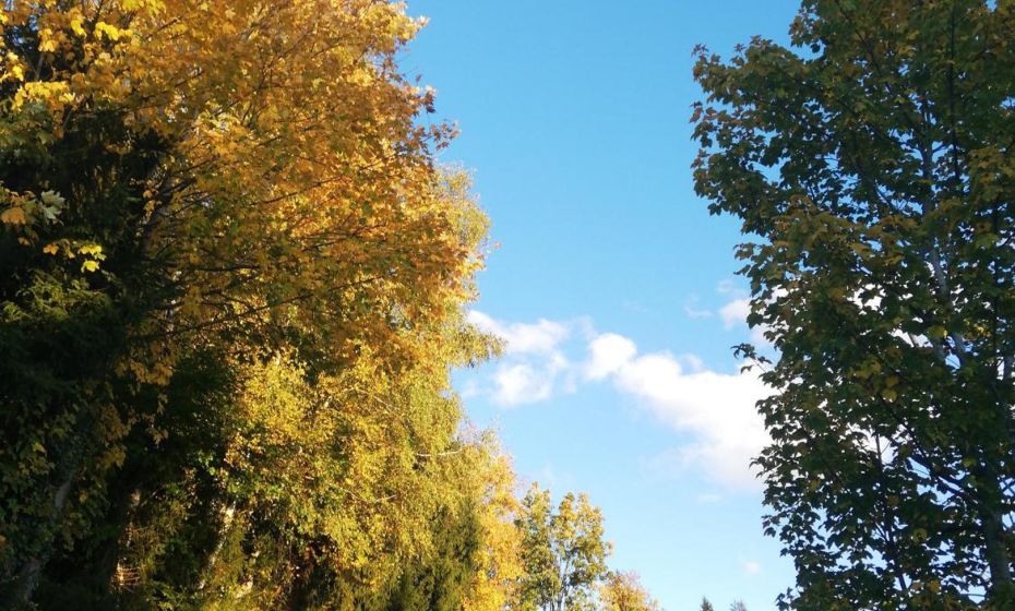 1 ZI Appartement Zauberwald 1 ZI Appartement Zauberwald