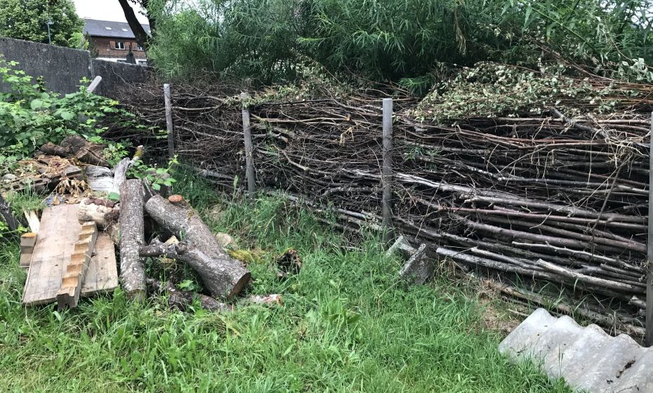 Benjeshecke und Holzhaufen Benjeshecke und Holzhaufen