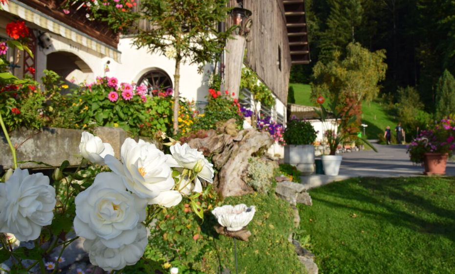 Fewo am PfÃ¤nder, Lochau, Blumen
