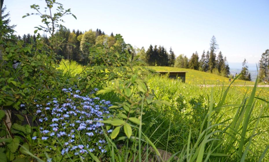 Kreiers Alp Kreiers Alp