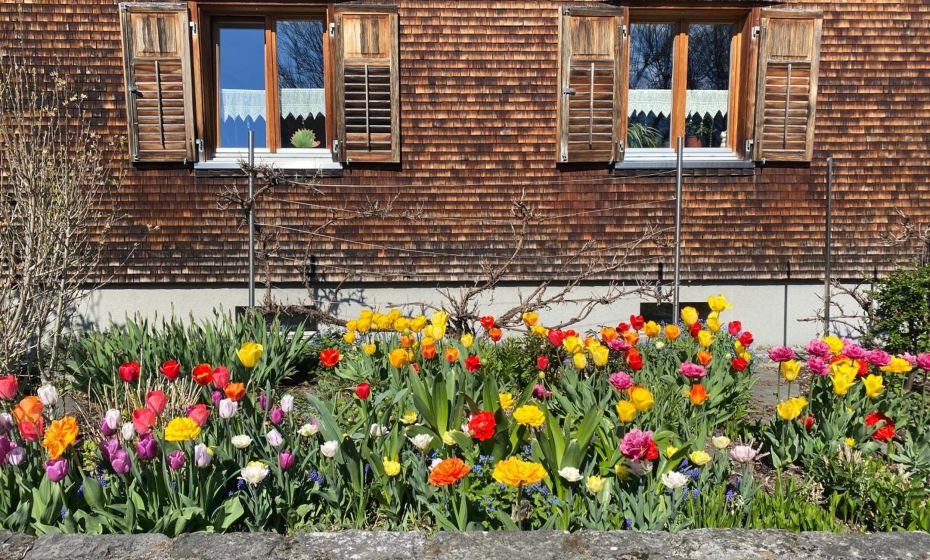 mama kÃ¤the - Apartments