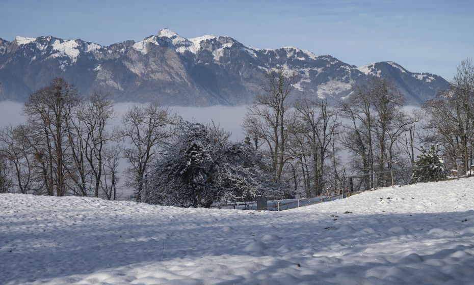Wildpark Feldkirch Aussicht Wildpark Feldkirch Aussicht