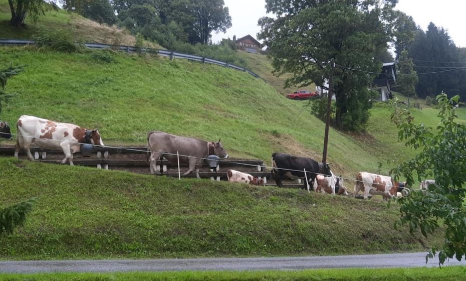 Sunnaschi Appartements - Wohnungen oder gesamt als "HÃ¼tte"