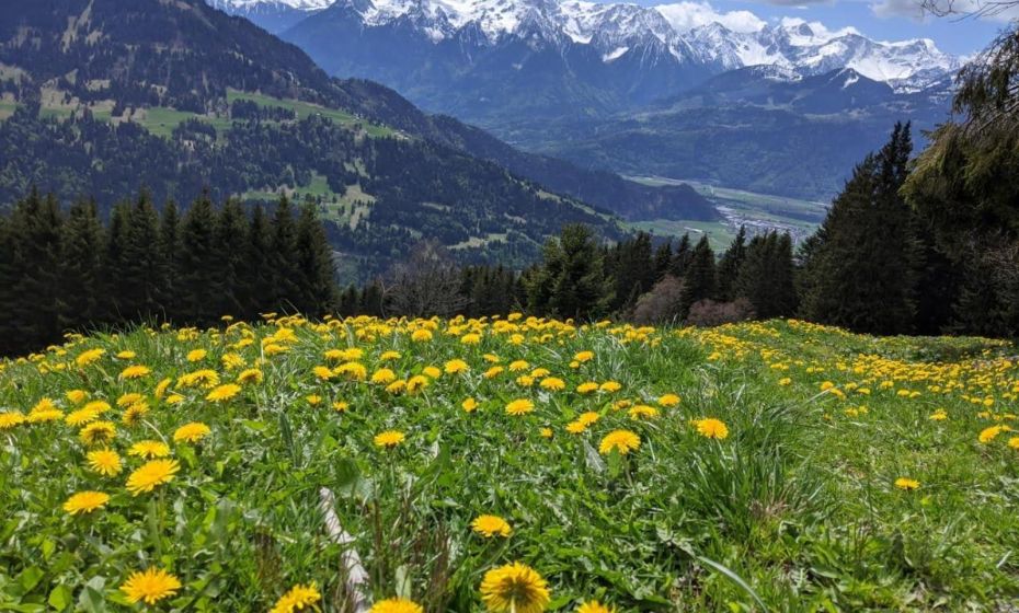 Ferienhaus Haus im Garten