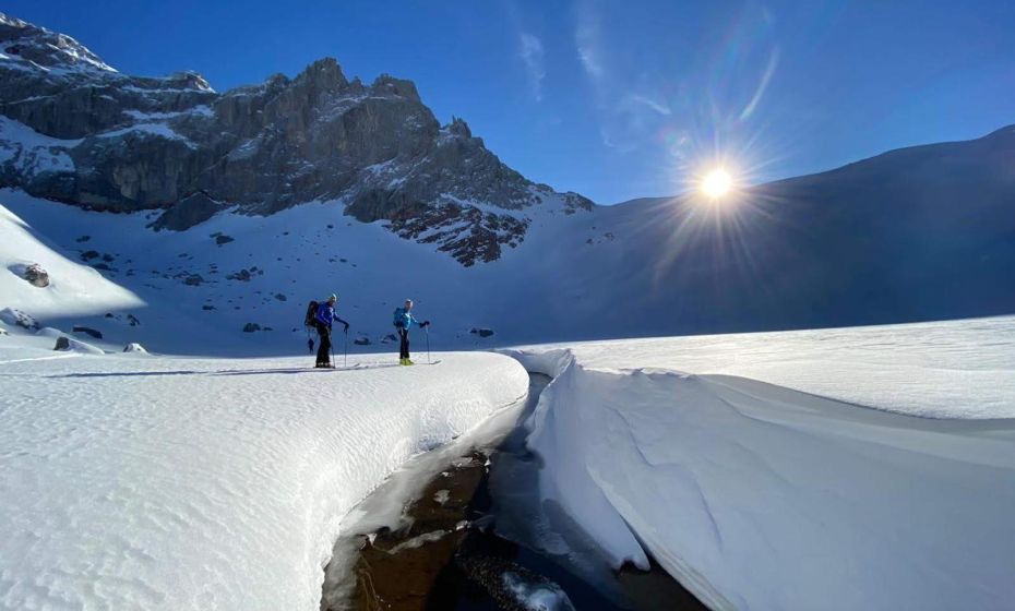 Ferienhaus Haus im Garten Ferienhaus Haus im Garten