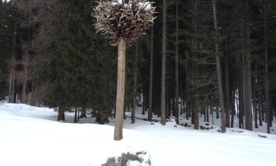 Ferienhaus Haus im Garten Ferienhaus Haus im Garten