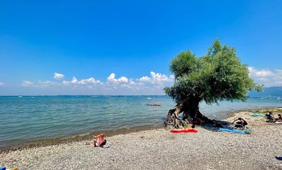 Seeparkvilla â WohlfÃ¼hlen am See und im GrÃ¼nen