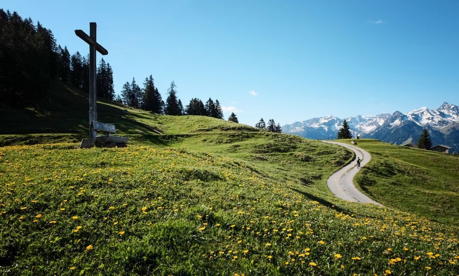 __NO_NAME__ __NO_NAME__