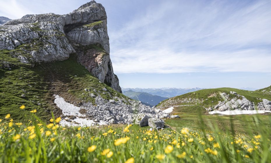 Schweizer Tor Schweizer Tor