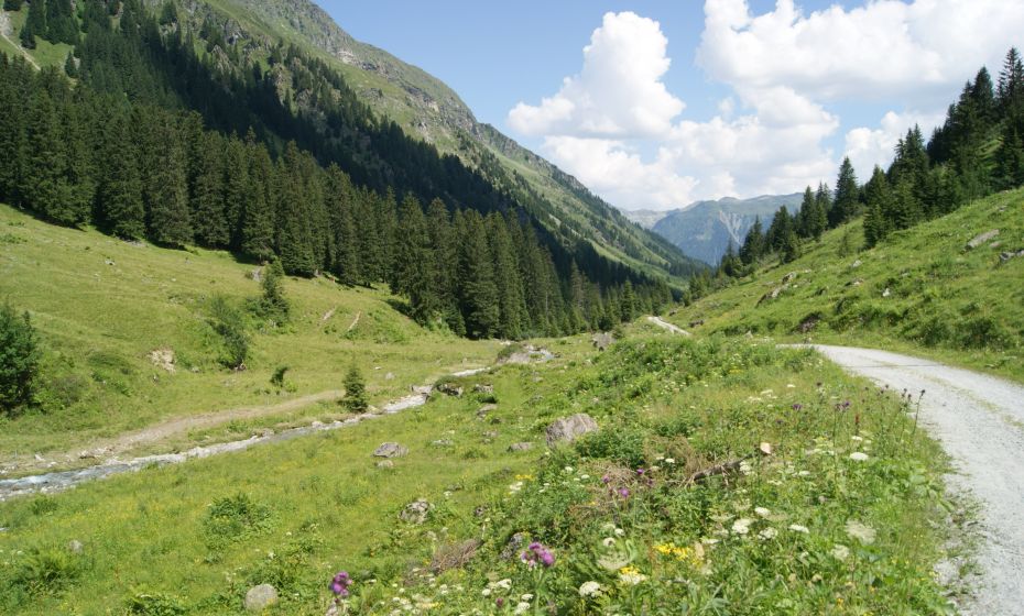 Julia Mangeng - Silvretta Historica; Montafon Tourismus GmbH Garneratal