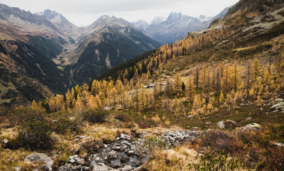 Alpguesalpe Alpguesalpe