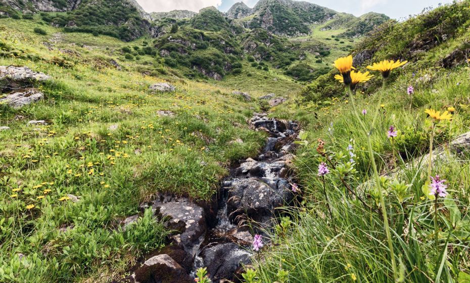 Gebiet um die Innerkapellalpe Gebiet um die Innerkapellalpe