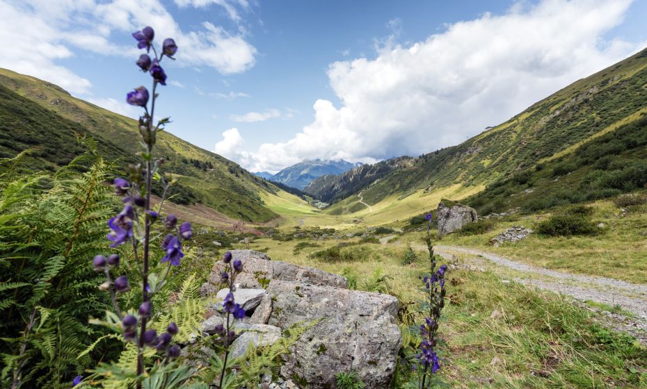 Gantakopf Rundweg Urlaub am Bodensee, Vorarlberg