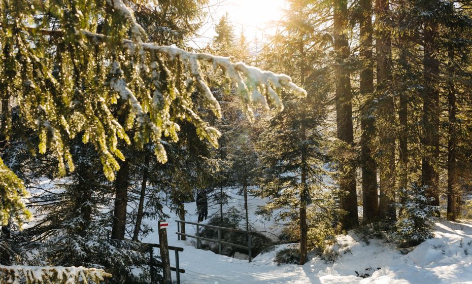 Unterwegs mit BÃ¶dele Birgit Steffi