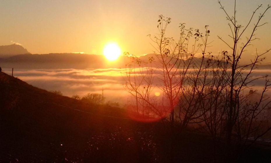 F E R I E N W O H N U N G "Am Halbenstein"