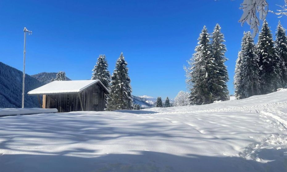 Holiday Home Runnimoos-3 by Interhome