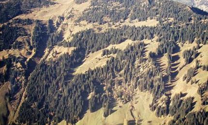 Julia Mangeng - Projekt Loccata Schrinawald 1982