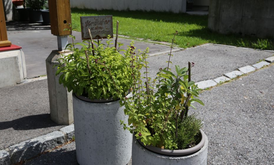 KrÃ¤uterweg "Probiar Amol" - Sport StÃ¶ckl