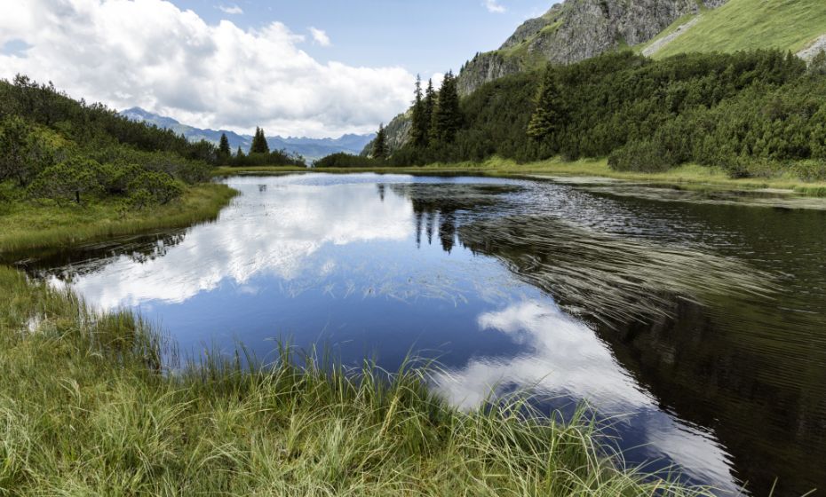 Wiegensee