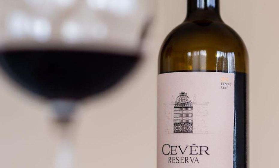 Ferien im Paradies - Wohnung Vera Ferien im Paradies - Wohnung Vera