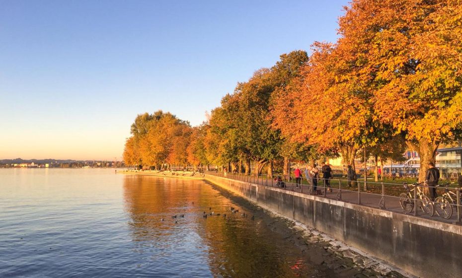 Seeblick Bregenz - mit Parkgarage Seeblick Bregenz - mit Parkgarage