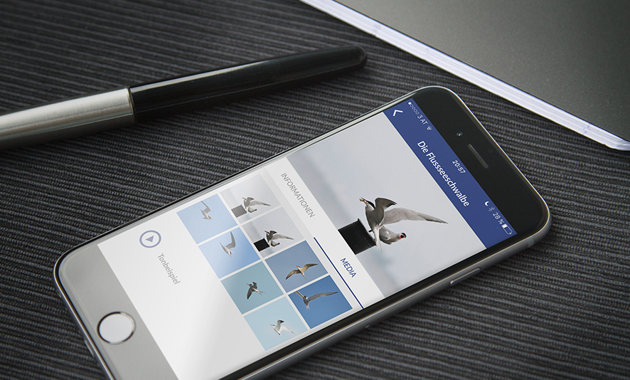 Birdwatching Birdwatching